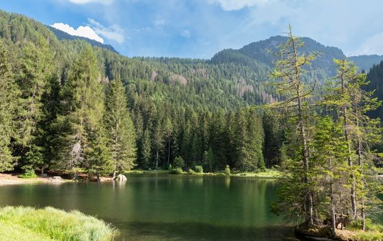 Lago dei Caprioli, Val di Sole