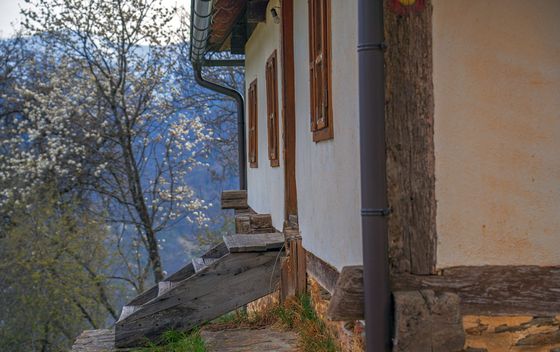 Obojak - 9