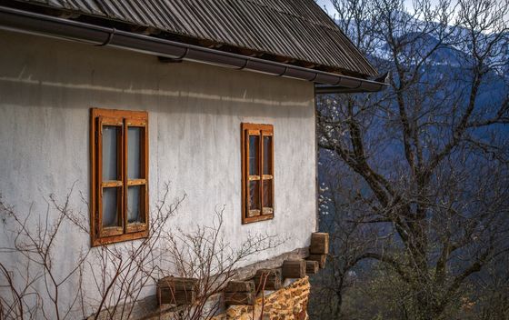 Obojak - 10
