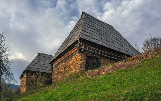 Obojak - 11