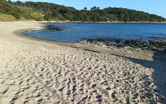 Plaža Pržina