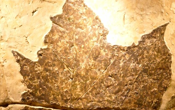 Vinski vikend u Zagorju - 51