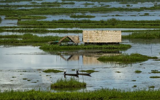 Jezero Loktak u Indiji - 2