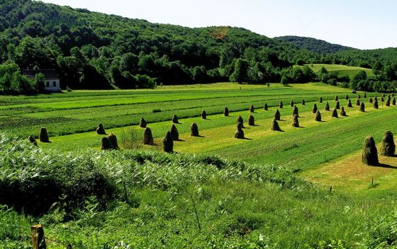 Mrzlo polje, dom za odmor - 2