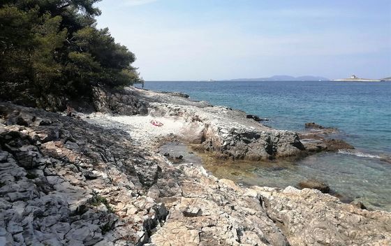 Mekićevica - 2