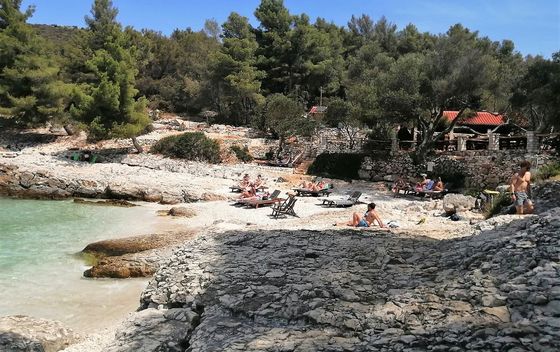 Mekićevica - 3