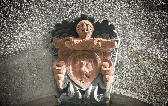 Vodnjanski grbovi - 12