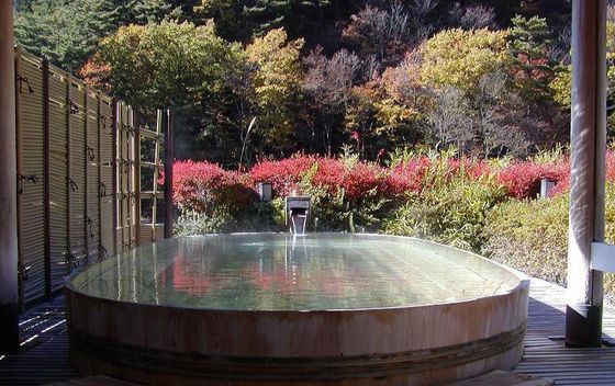 Najstariji hotel na svijetu Nishiyama Onsen Keiunkan, Japan - 2