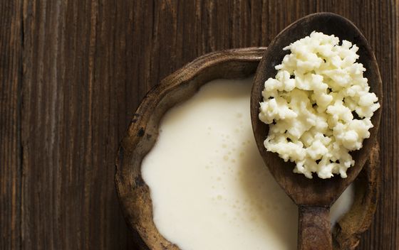 Kefir - 4