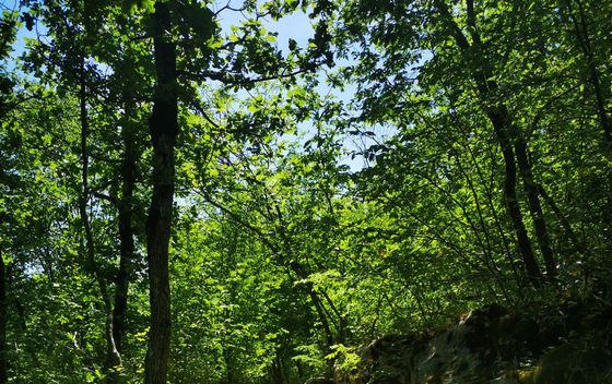 Pećinski park Grabovača - 7