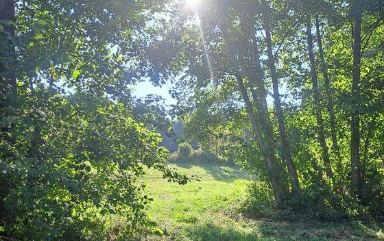 Turopoljska trail utrka Ključić brdo - 5