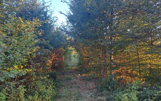 Turopoljska trail utrka Ključić brdo - 6
