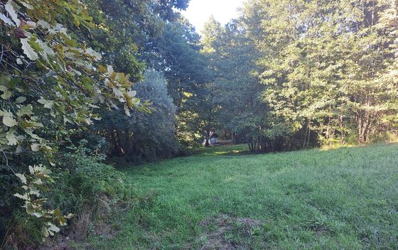 Turopoljska trail utrka Ključić brdo - 7