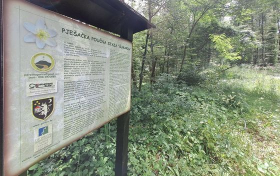 Turopoljska trail utrka Ključić brdo - 8