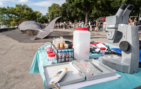 Nasukani kit na Ciriškomn jezeru u Švicarskoj - 4