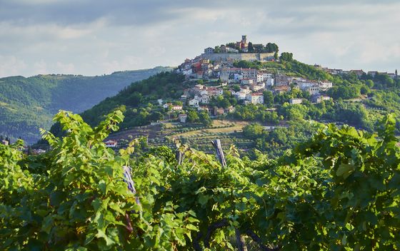Motovun