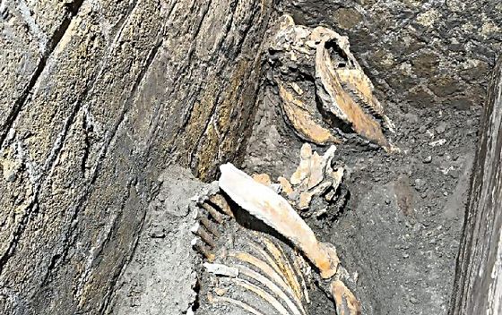 Arheološki park Pompeji 6. kolovoza 2025. prikazuje nova otkrića u Pompejima - 1