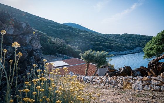 Kućica je okružena stablima i cvijećem