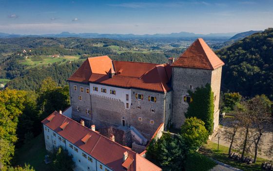 Slovenski dvorci - 3