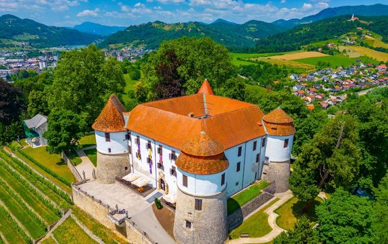 Slovenski dvorci - 4