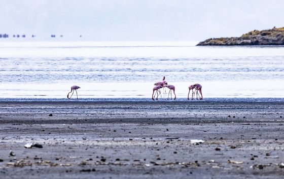 Natron - 3