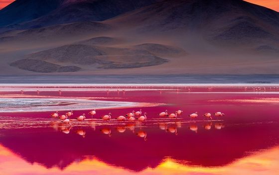 Natron - 5