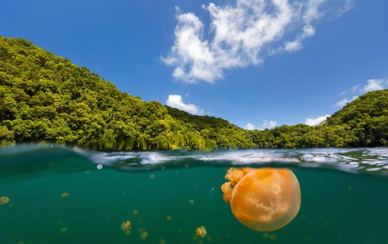 Palau - 3