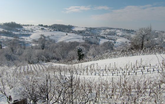 Pogled s brežuljka koji okružuje Varaždinske Toplice