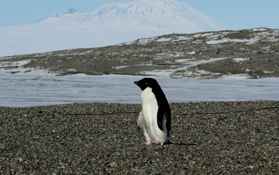 McMurdo postaja na Antarktici - 1