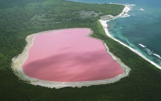 Ružičasto jezero u Australiji