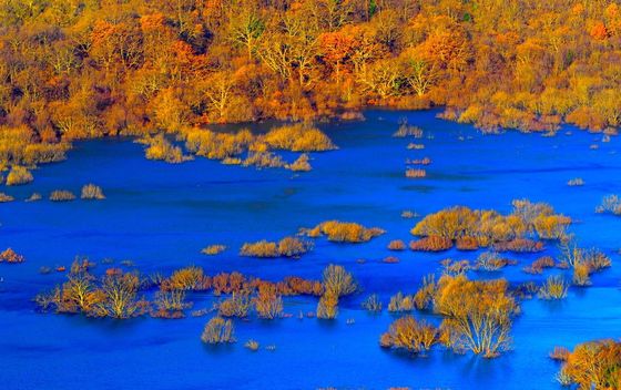 Jezero Ponikve - 14