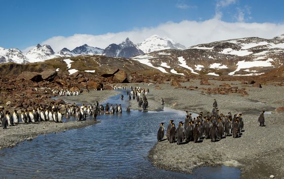 Kerguelen - 1