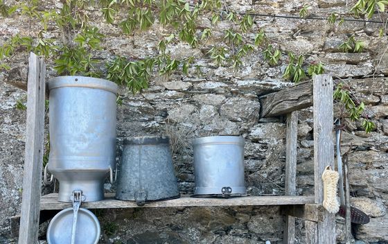 Novi kviz općeg znanja - 11