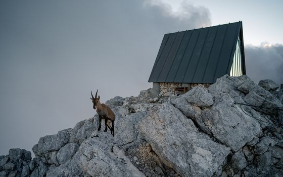 Planinarsko sklonište u sjećanje na Lucu Vuericha u Julijskim Alpama - 1