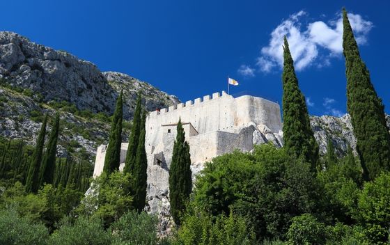 Sokol kula - 3