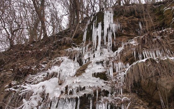 Slapnica - 10