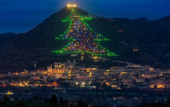 Najveće božićno drvce na svijetu - 1