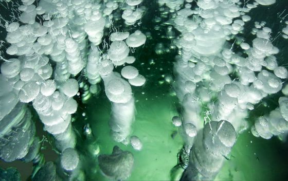 Jezero Spray u Kanadi - 8