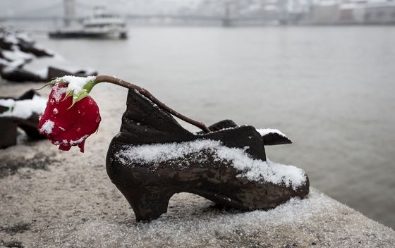 Cipele na obali Dunava - 1