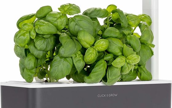 Smart Garden 3 - 2