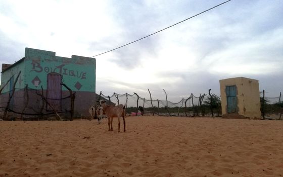 Goran Blažević u Mauritaniji - 9