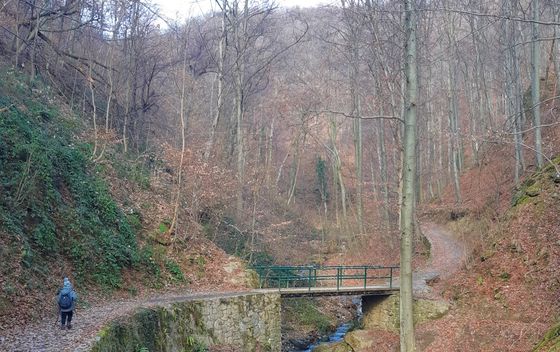 Planinarski put do Kraljičinog zdenca