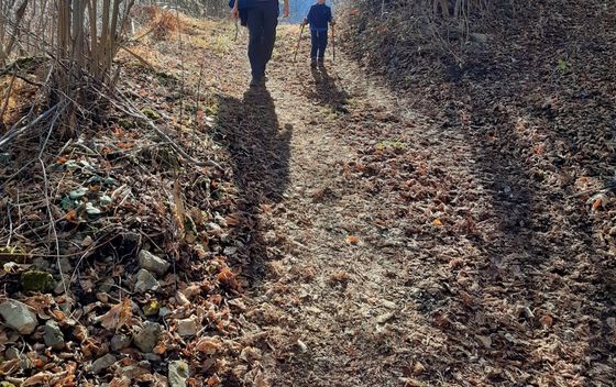 Planinarski put do Cerinskog vira