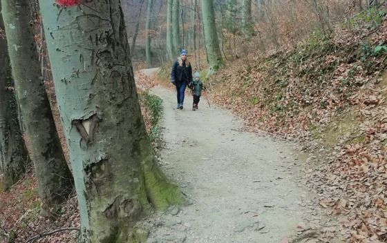 Planinarska staza 13