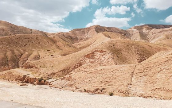 Zapadna Obala, Palestina - 6