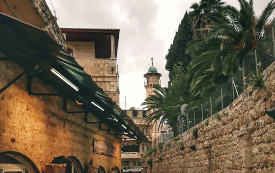 Zapadna Obala, Palestina - 7