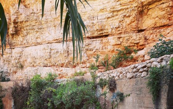 Zapadna Obala, Palestina - 9