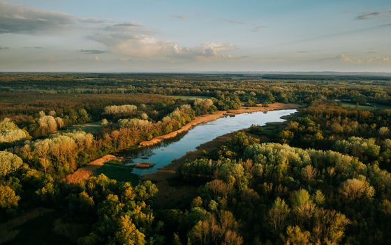 Mrtvica Čambina uz rijeku Dravu
