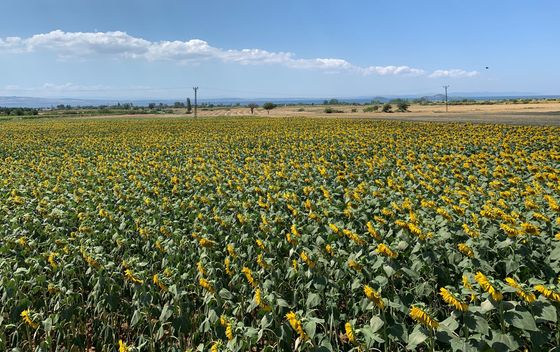 Boris u Turskoj - 35