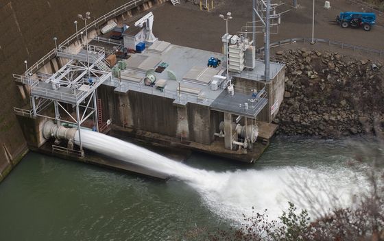 Berryessa - 1